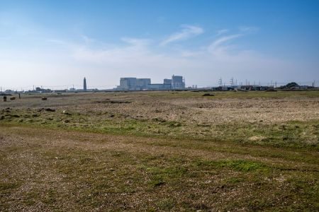 Dungeness Distressed by Kevin Power