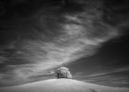 Tuscany Photography Tour