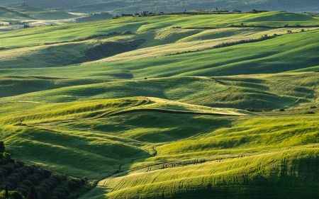 Tuscany Landscape Photography