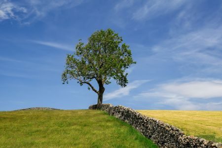 Meadows, Barns and Waterfalls - Yorkshire Dales Photography Tour