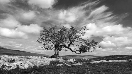 Yorkshire Dales Photography Tour