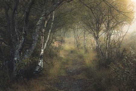 Understanding Light in Landscape Photography Part One: Different Types of Light