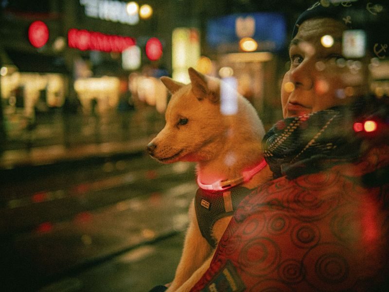 Berlin Photography Tour - A City of Two Halves Berlin Photography Tour - A City of Two Halves