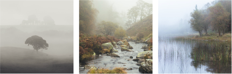 Understanding Light in Landscape Photography | Light and Land