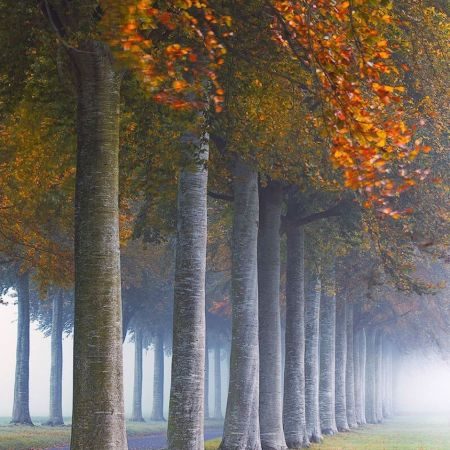 How to take the perfect autumn photograph