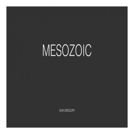 ‘MESOZOIC’ - New Book by Sam Gregory