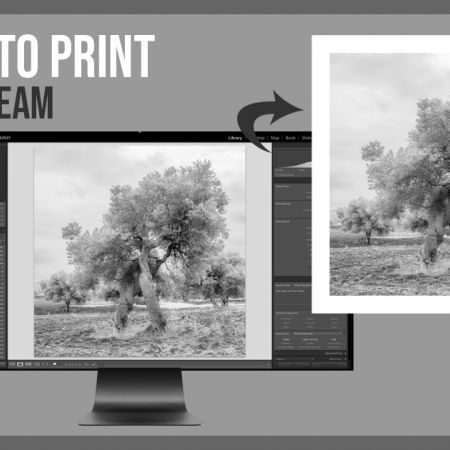 From Pixel to Print - Olive Trees in Puglia, Italy