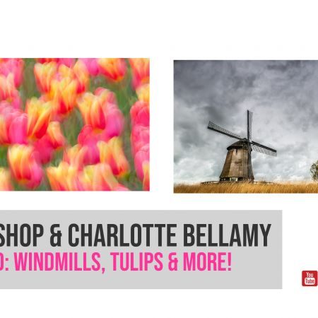 Holland - Tulips, Windmills & More Livestream