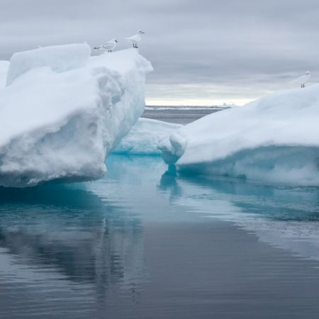 Spitsbergen - An Arctic adventure 