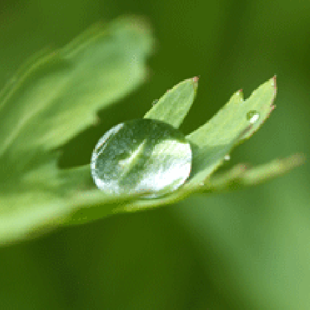 Don’t Let The Rain Stop Your Photographic Play