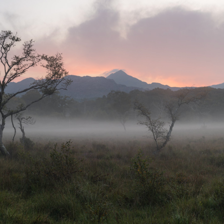 Understanding Light in Landscape Photography Part One: Different Types of Light