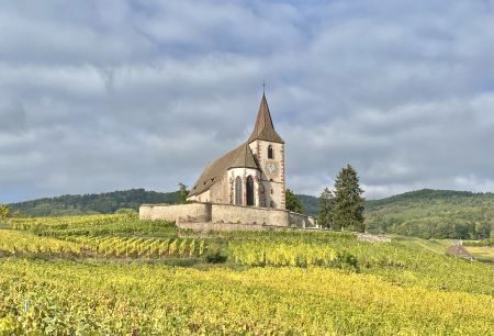 Alsace Photography Tour - Villages, Castles and Vineyards