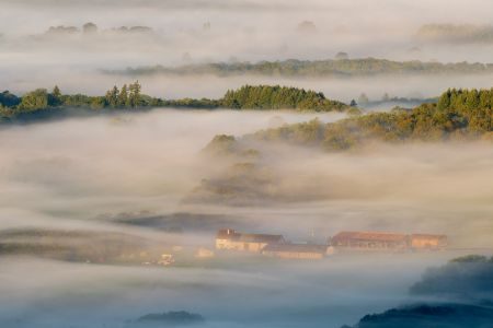 Misty Mornings, Sleepy Villages and Curious Characters - Rural Burgundy Photography Tour