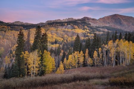 Fall Colours in Colorado Photography Tour