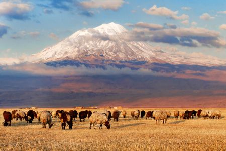 From Mountains to Mesopotamia - Eastern Turkey Photography Tour