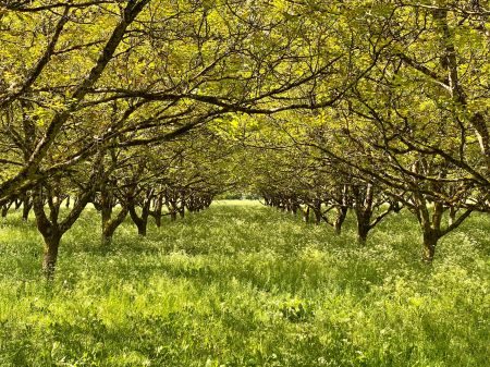 The Heart of Timeless France - The Lot & Dordogne Photography Tour