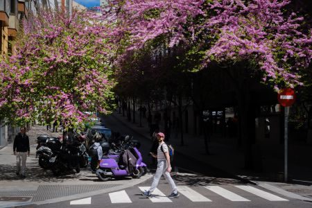 First and Last Capitals of Spain - Toledo and Madrid Street Photography Tour