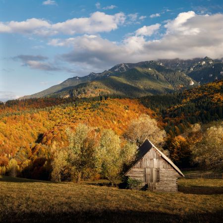 The Land Beyond the Forest - Transylvania Photography Tour