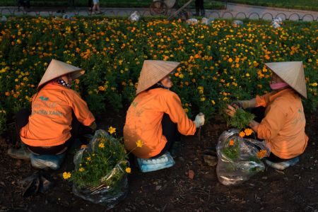 In Focus - The Soul of Northern Vietnam
