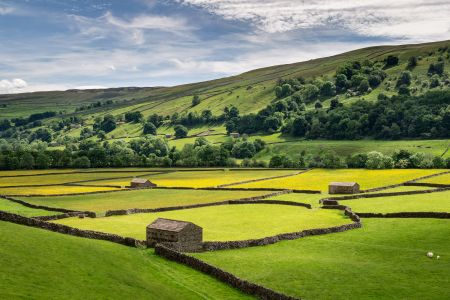 Meadows, Barns and Waterfalls - Yorkshire Dales Photography Tour