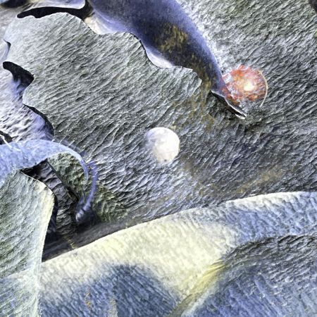 The Art of Play - Creative Photography Workshop Amongst Sculptures and Nature