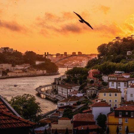 Six Bridges, A Few Barrels Of Wine And Sunset Views To Die For - Porto Travel Photography Tour