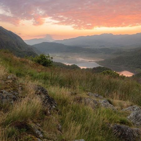Eryri Ancient Woodland and Lakes Photography Workshop