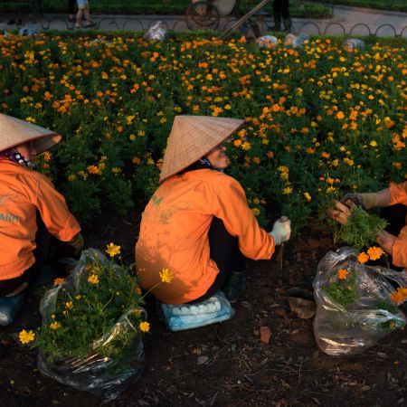 In Focus - The Soul of Northern Vietnam