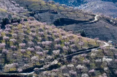 Andalucia Photography Tours
