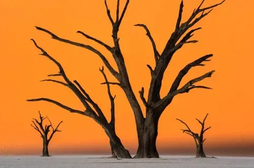 Namibia Photography Tours